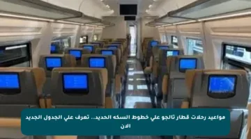 مواعيد رحلات قطار تالجو على خطوط السكة الحديد.. تعرف على الجدول الجديد الآن
